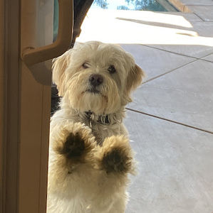 Meet your Posher, Haley